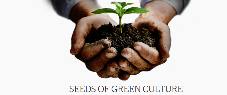 Seeds of green culture